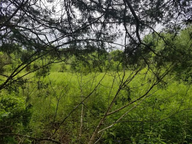 Monte Vista Road Ewing, VA 24248 - Photo 3 of 5 vacant land