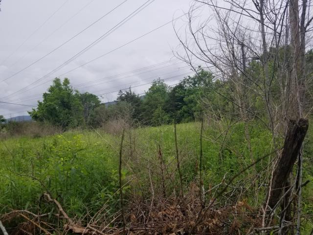 Monte Vista Road Ewing, VA 24248 - Photo 4 of 5 vacant land