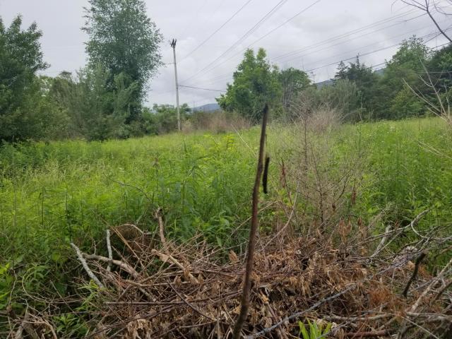 Monte Vista Road Ewing, VA 24248 - Photo 5 of 5 vacant land
