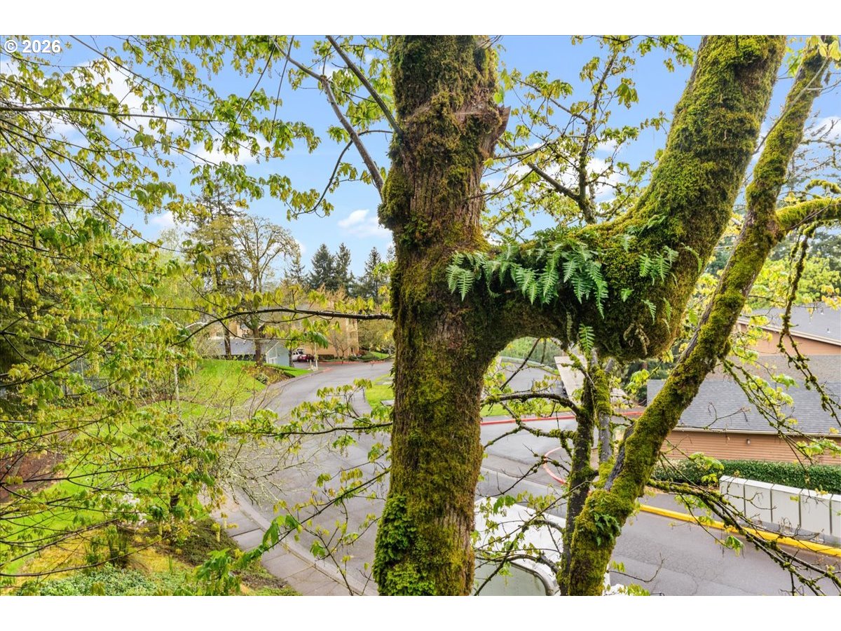 10160 Southeast Talbert Street Clackamas, OR 97015 - Photo 23 of 25 a view of houses with yard