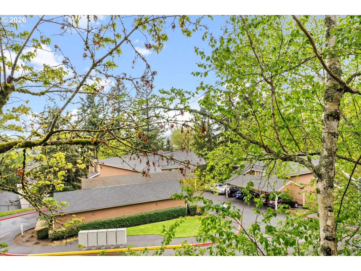 10160 Southeast Talbert Street Clackamas, OR 97015 - Photo 24 of 25 a picture of a tree