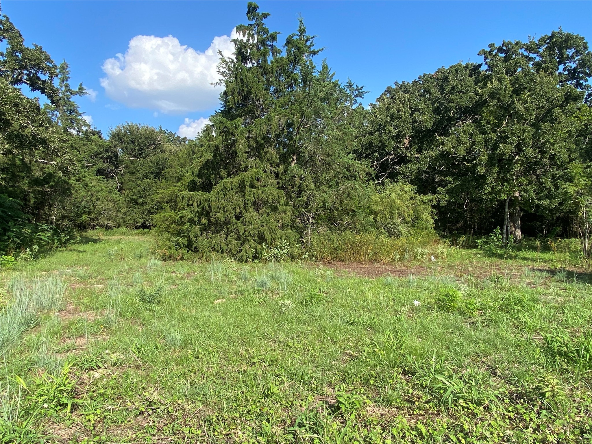 571 Railroad Road Somerville, TX 77879 - Photo 4 of 6 Gallery Image 4