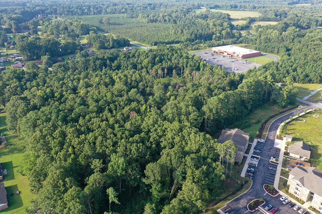 0 Jacobs Highway Clinton, SC 29325 - Photo 2 of 4