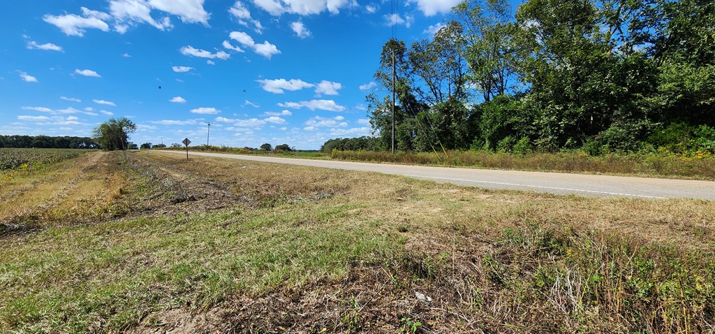 92 County Road 92 Slocomb, AL 36375 - Photo 6 of 32