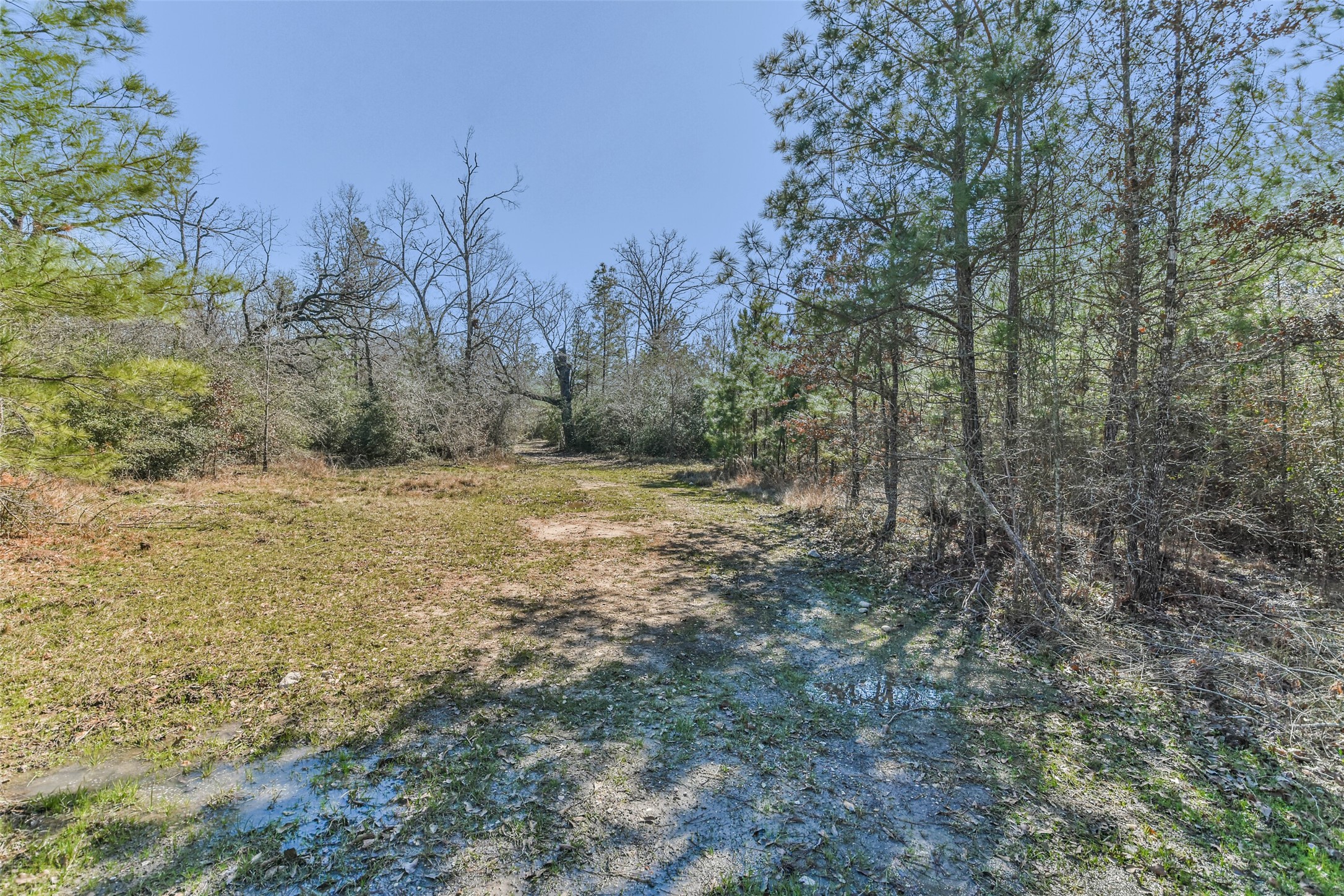 35 Old Sign Road Midway, TX 75852 - Photo 29 of 49