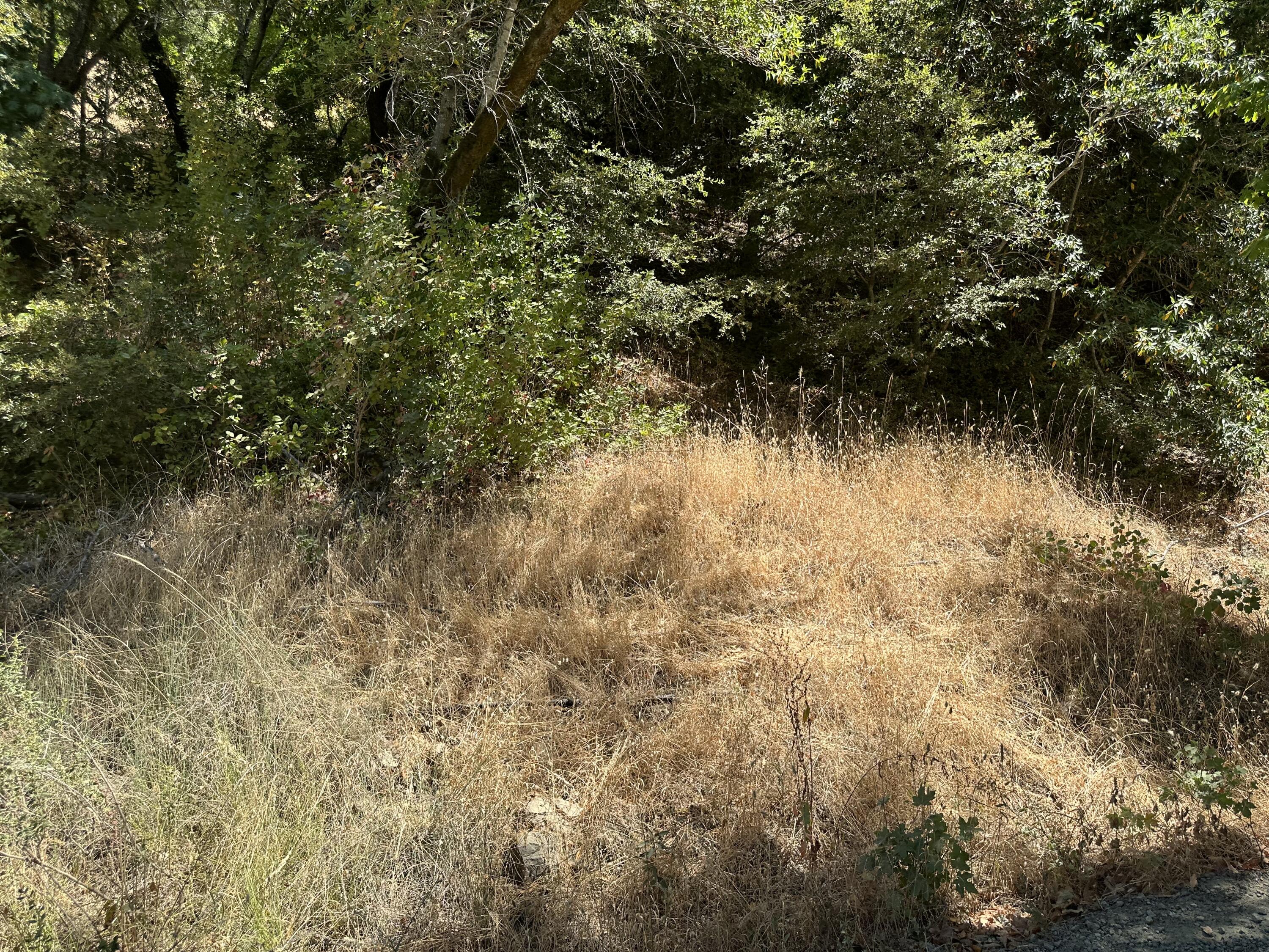 No Address No Address Road Miranda, CA 95553 - Photo 23 of 45