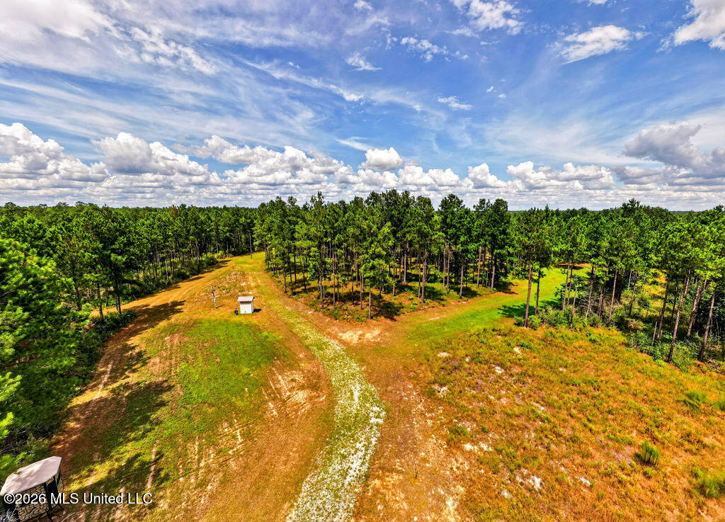 Wire Road Vancleave, MS 39565 - Photo 12 of 26 WireRdLand-12
