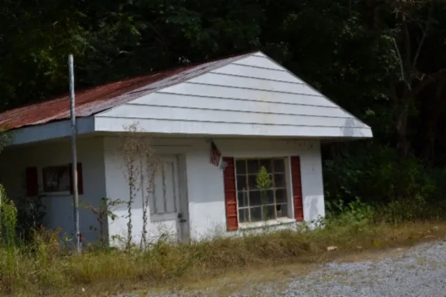 a view of a lush green forest
