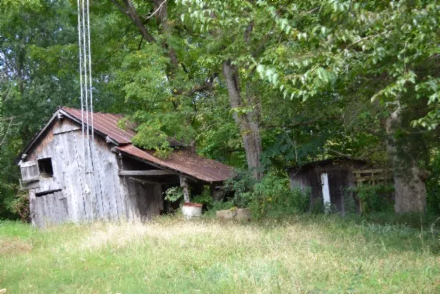 a view of a field with plants and wooden fence