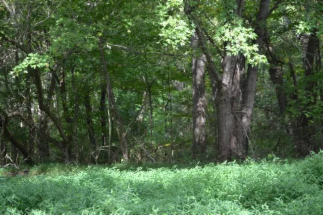 a picture of a glass door with a sink