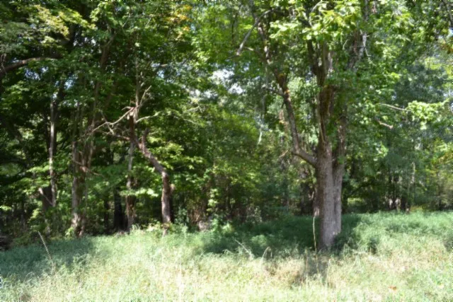 $249,900 | 1046 Livingston Highway, Byrdstown, TN 38549