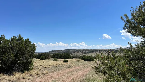 $35,000 | 141 Deer Circle, Quemado, NM 87829