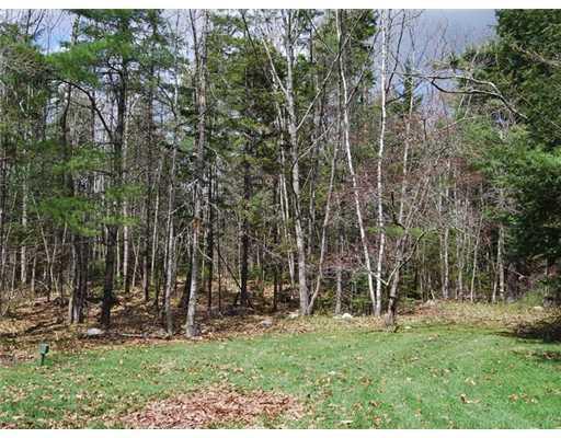 1385 Bristol Road Bristol, ME 04539 - Photo 15 of 16 Yard/Garden.