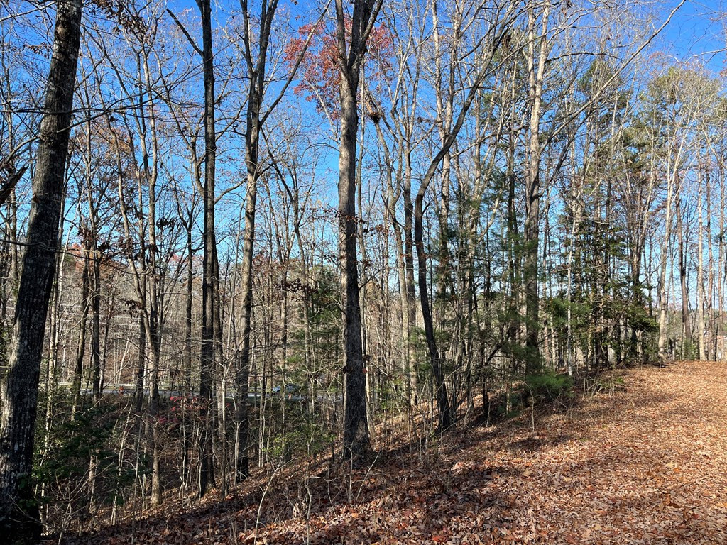 Tbd Corey Hill Murphy, NC 28906 - Photo 3 of 6