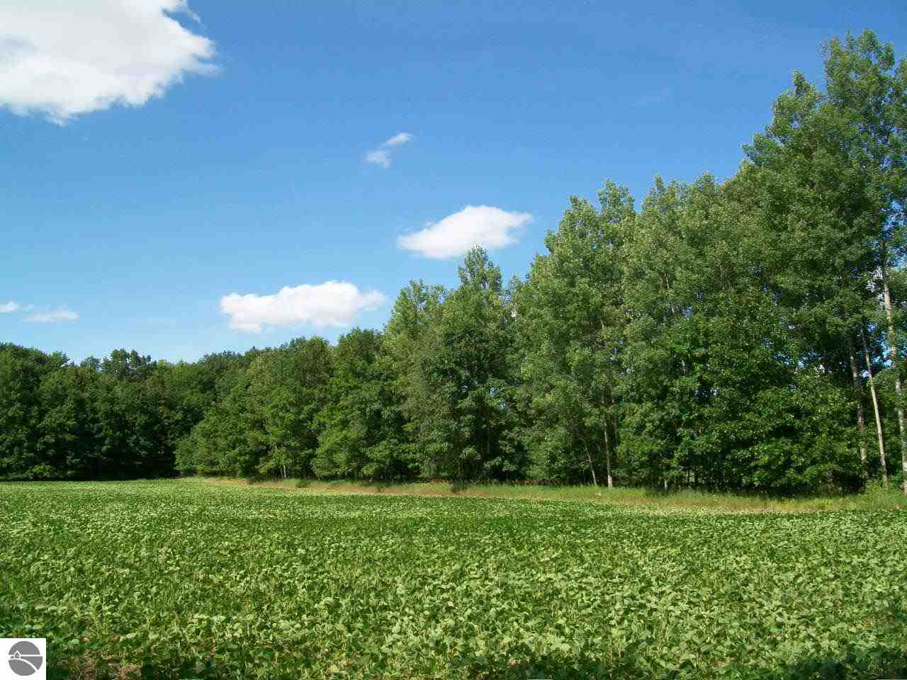 10310 Northwest County Line Road Riverdale, MI 48877 - Photo 17 of 22 1749770-16.JPG