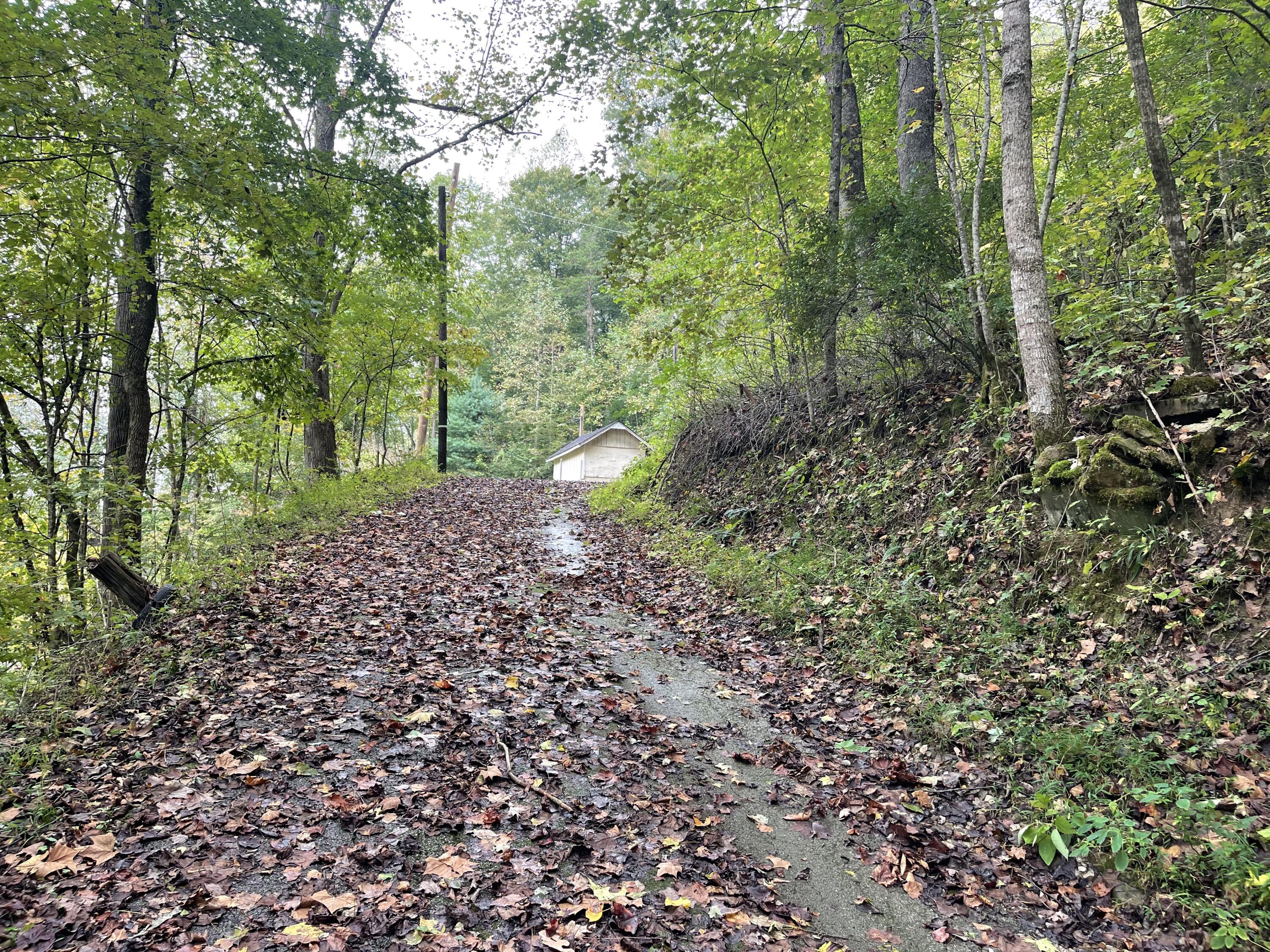 310 Sims Fork Road Arjay, KY 40902 - Photo 3 of 11 IMG_2823