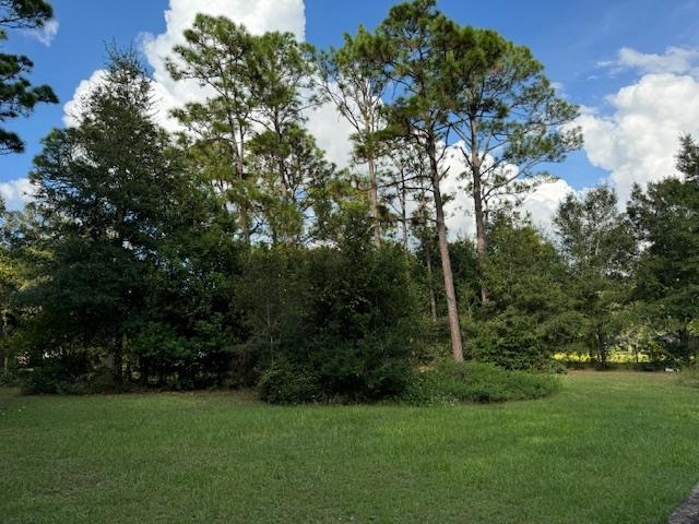 25328 Lavinia Avenue Elberta, AL 36530 - Photo 3 of 9 Yard