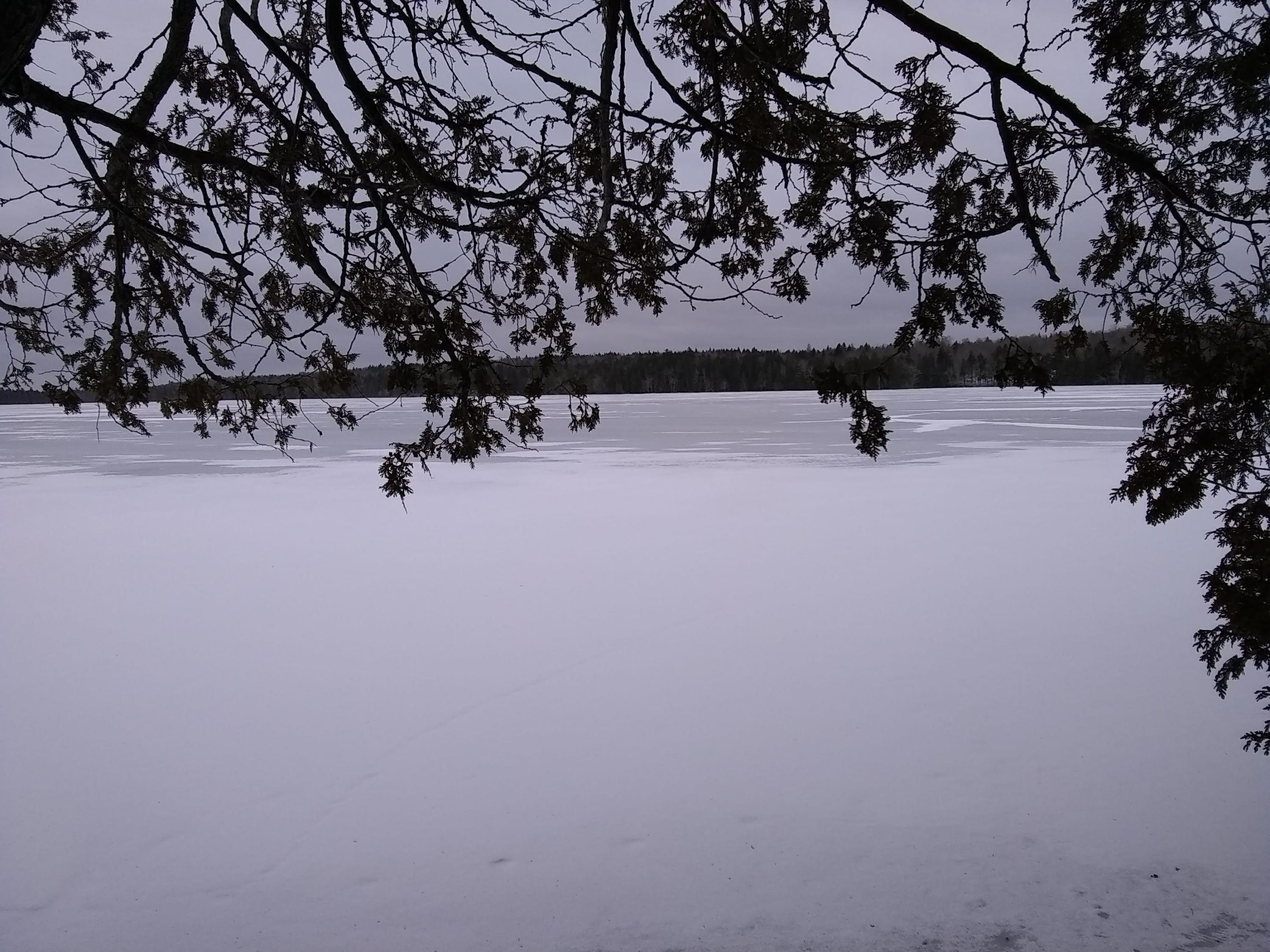 Lot 35.2 Stagecoach Road Dennysville, ME 04628 - Photo 4 of 8 IMG_20190116_091537367