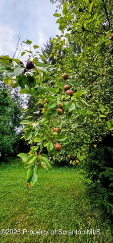 $170,000 | 1 Capwell Avenue, Factoryville, PA 18419