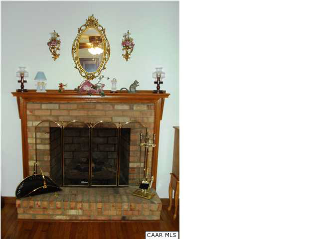 1141 John Tucker Road Aroda, VA 22709 - Photo 24 of 34 Fireplace in Master Bedroom