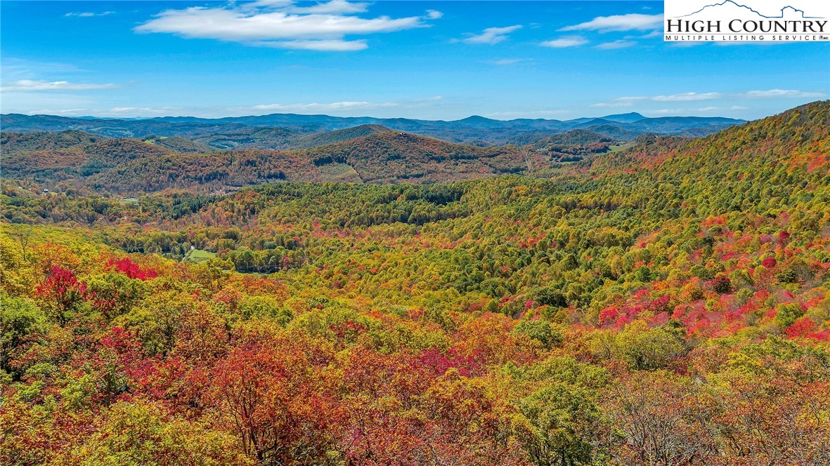 1810 Homestead Road Todd, NC 28684 - Photo 3 of 50 a view of a city