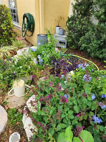 a picture of flowers