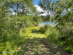 Lot D Spruce Lake Road Thompson, PA 18465 - Photo 14 of 19