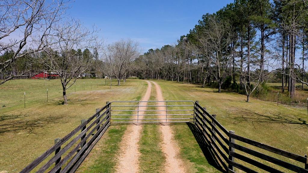 369 Bud Gary Road Clayton, AL 36016 - Photo 3 of 42