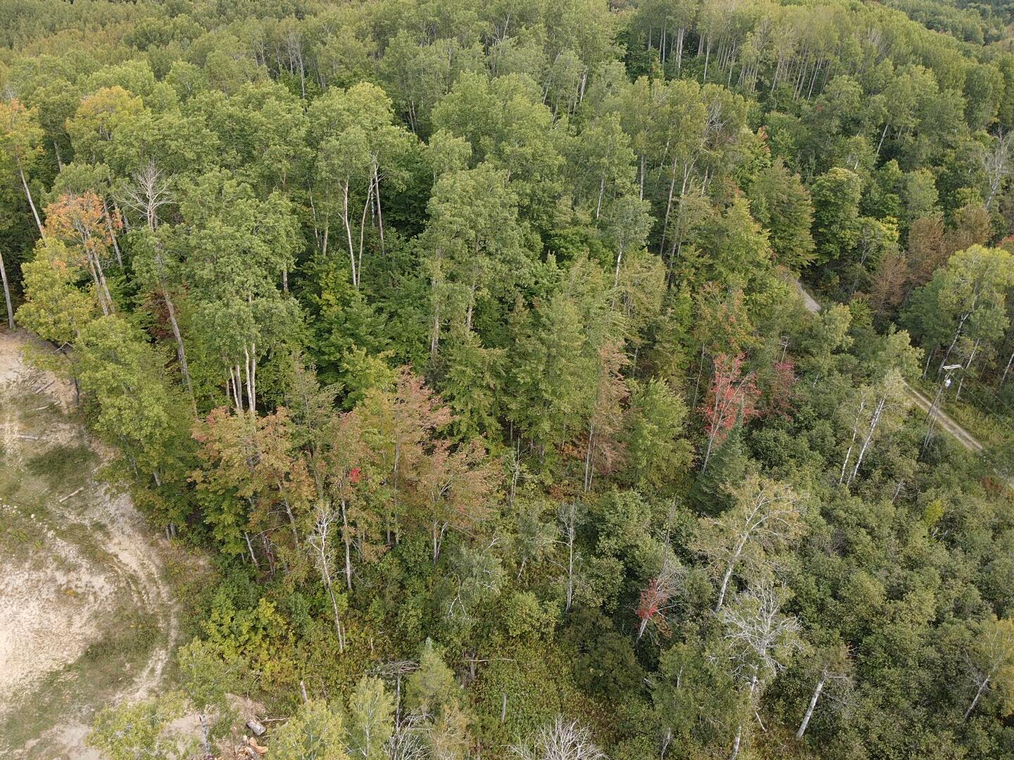 7716 Fulmer Road Wolverine, MI 49799 - Photo 6 of 8 Gallery Image 6