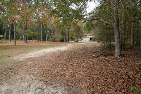 $303,000 | 218 East Sheppard Street, Stapleton, GA 30823