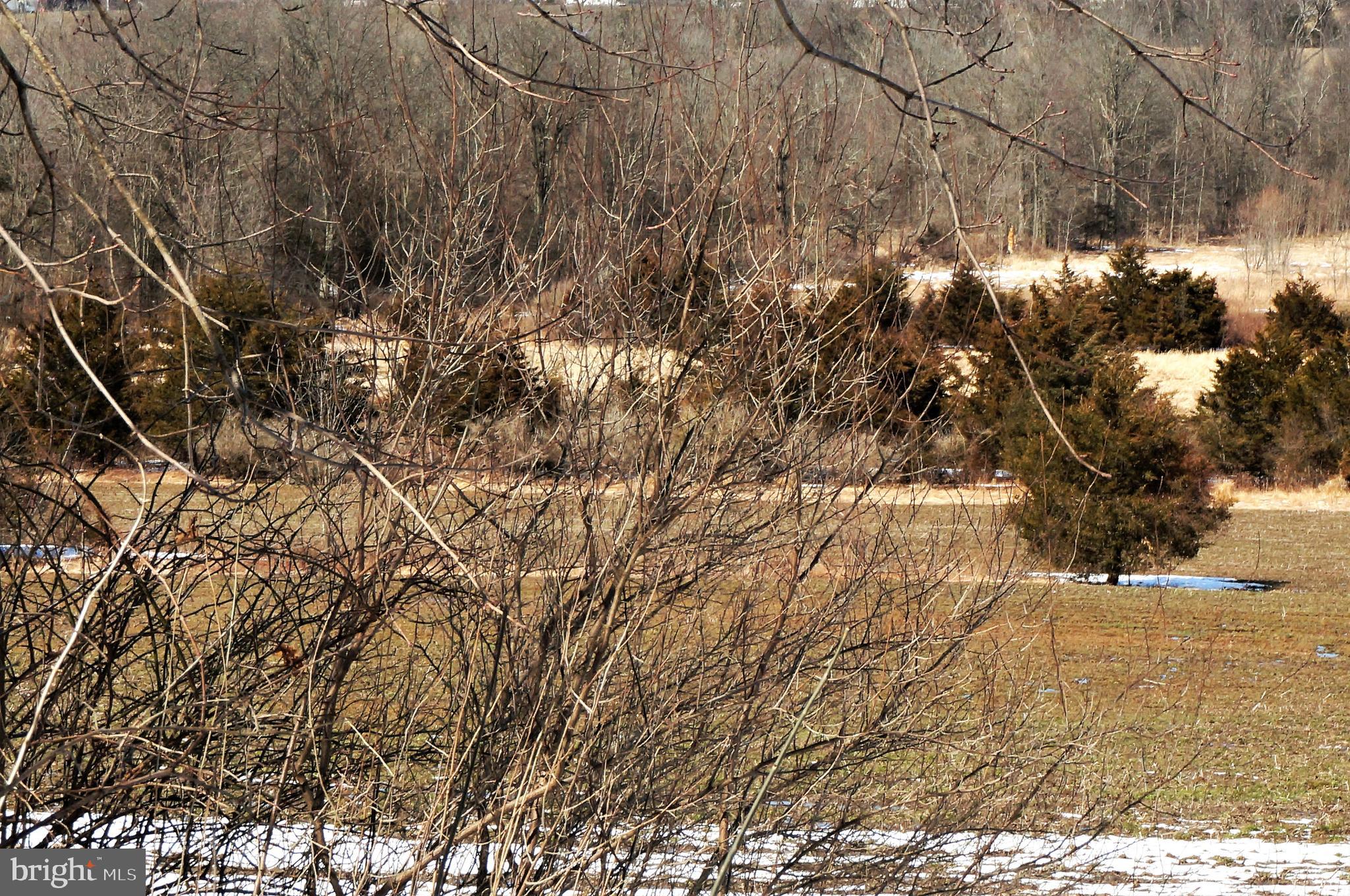 Lot 2 Nell Road East Berlin, PA 17316 - Photo 1 of 7 Gallery Image 1