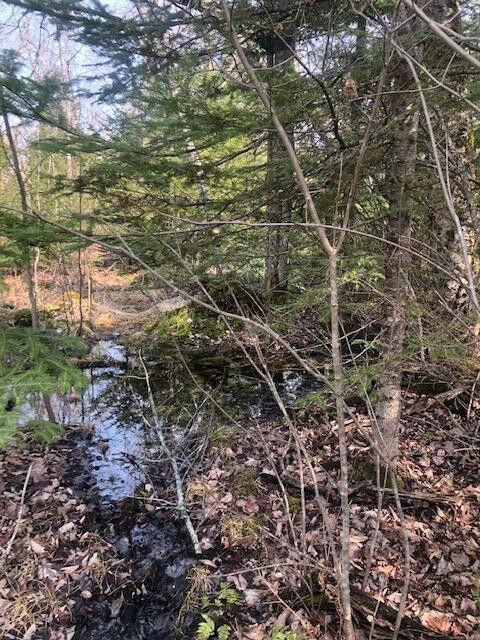 13 West Mile Road Dafter, MI 49724 - Photo 3 of 7 Gallery Image 3