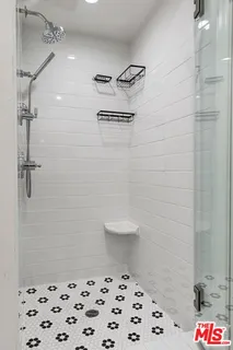 a bathroom with a shower and a toilet