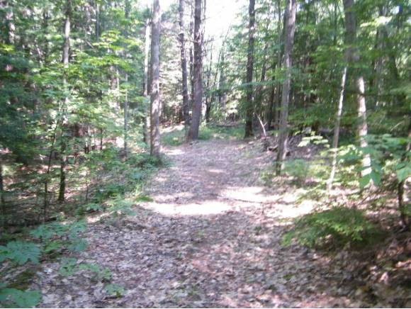 65 Savage Road Gilford, NH 03249 - Photo 21 of 24 Gallery Image 21