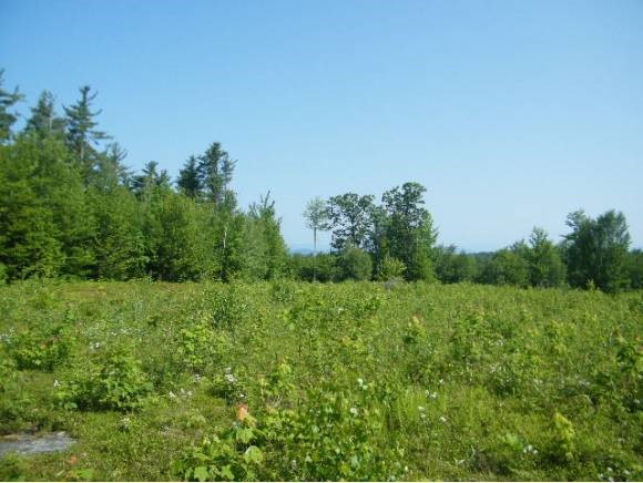 65 Savage Road Gilford, NH 03249 - Photo 23 of 24 Gallery Image 23