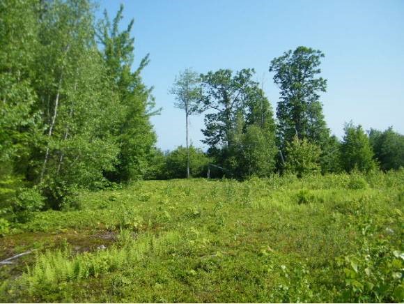 65 Savage Road Gilford, NH 03249 - Photo 24 of 24 Gallery Image 24