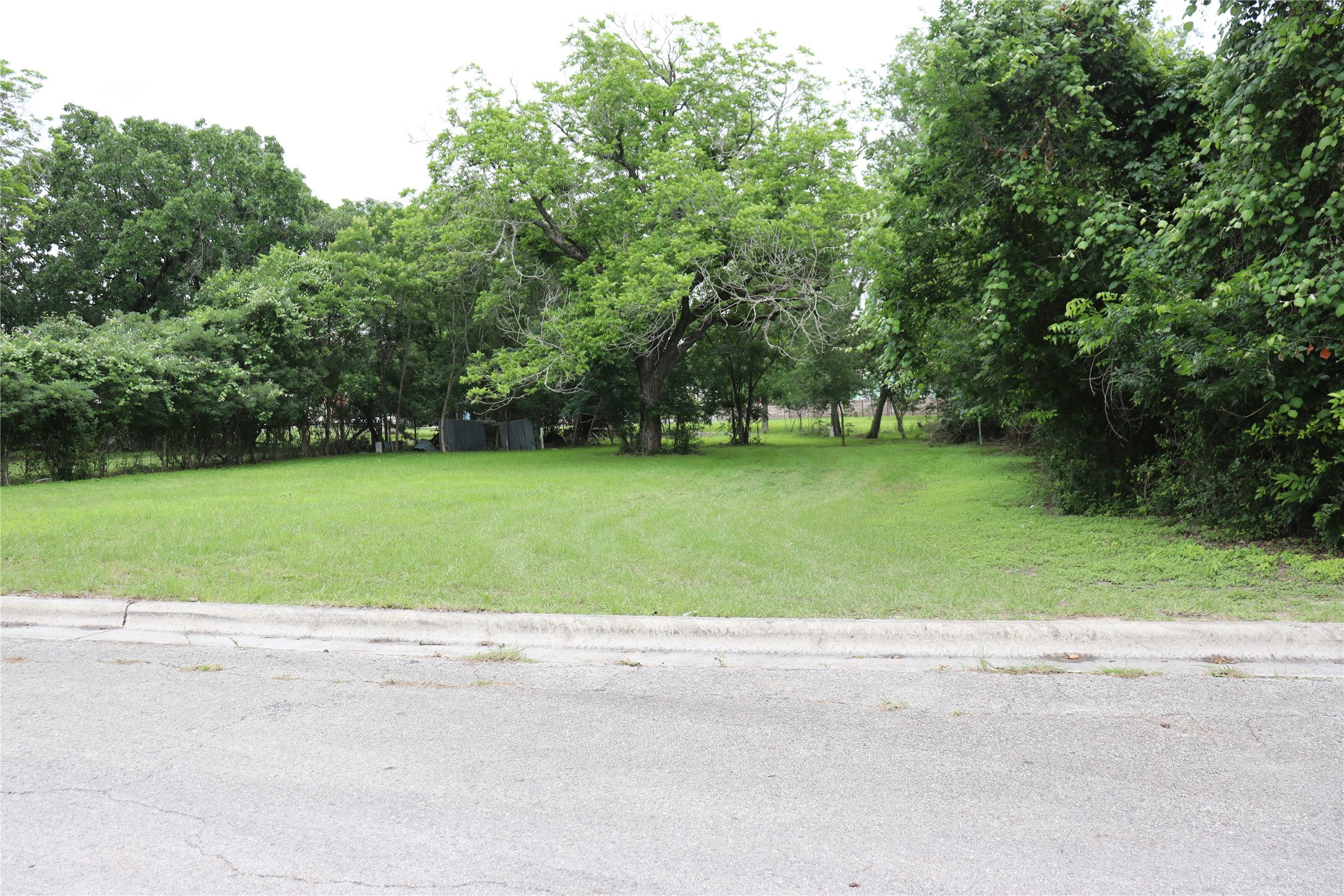 1006 Johnson Street Lockhart, TX 78644 - Photo 6 of 10 Expansive grassy lot featuring mature trees along the perimeter