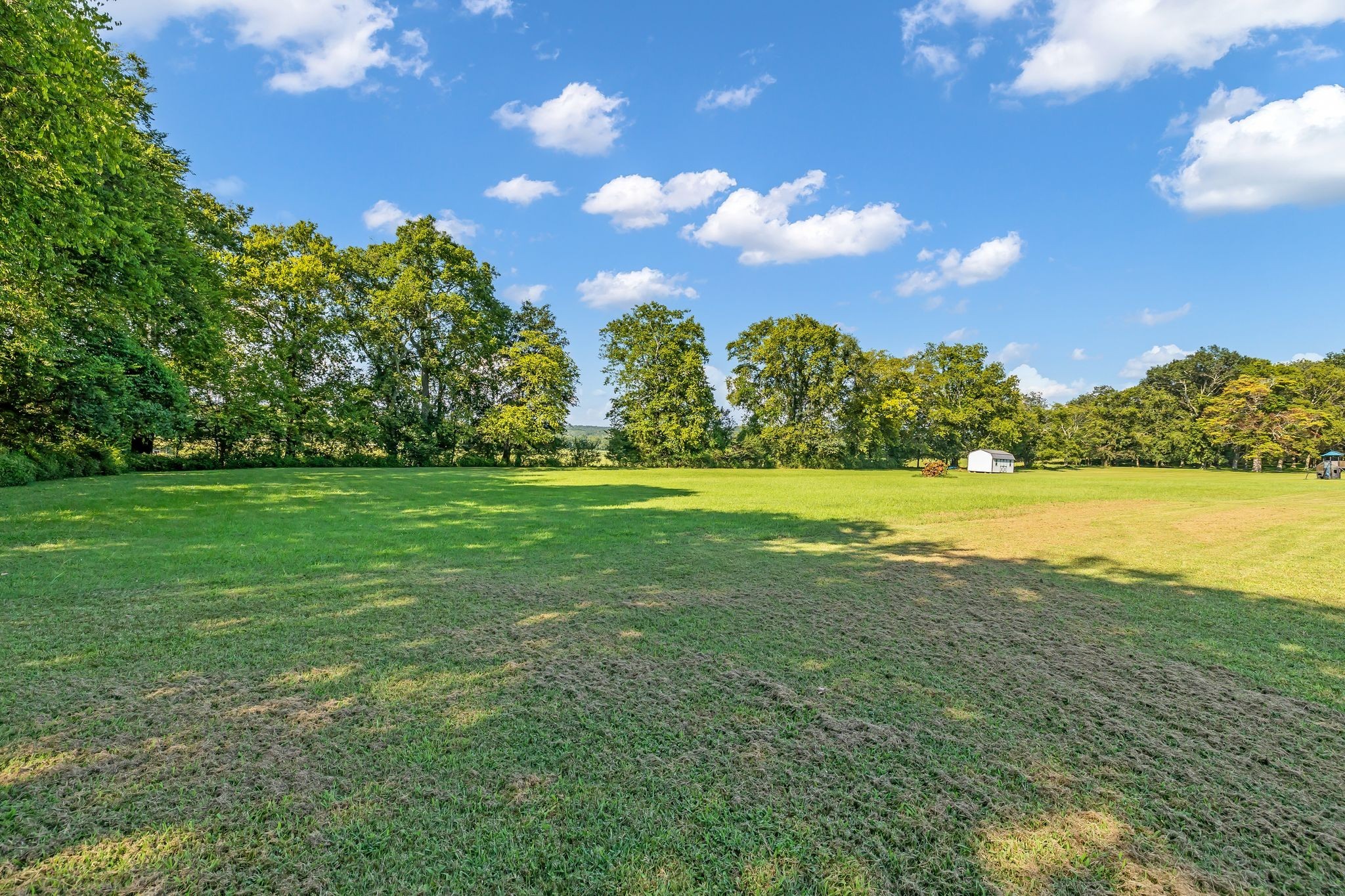 207 Sugar Tree Lane Pulaski, TN 38478 - Photo 10 of 30 a view of a green yard