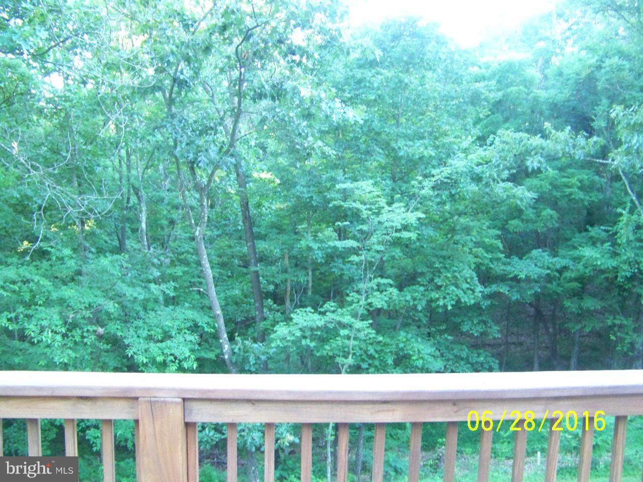 709 Knob Road Gore, VA 22637 - Photo 14 of 16 View