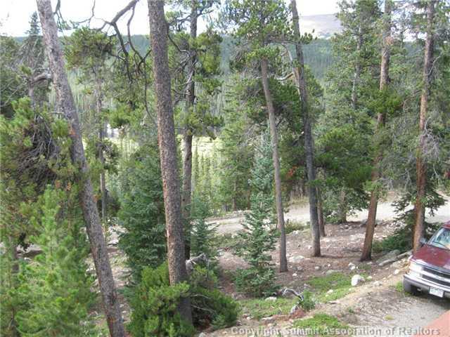 1175 Guymard Road Fairplay, CO 80440 - Photo 13 of 16 Gallery Image 13