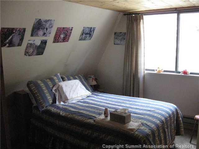 1175 Guymard Road Fairplay, CO 80440 - Photo 10 of 16 Gallery Image 10