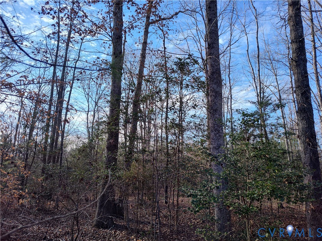20825 Carson Road Dinwiddie, VA 23841 - Photo 35 of 50