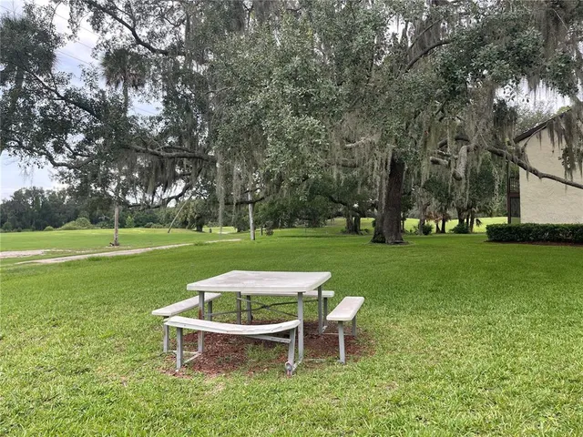 a street view with a yard