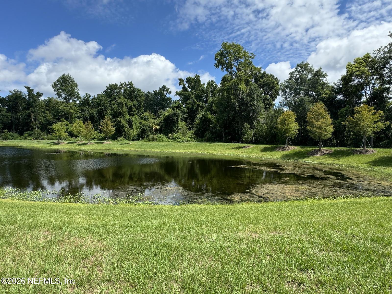 9098 Alpine Aster Road Jacksonville, FL 32256 - Photo 13 of 13 large (61)