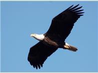 1702 North Lakeshore Drive, Unit 8 Lake City, MN 55041 - Photo 17 of 20