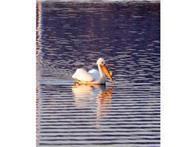 1702 North Lakeshore Drive, Unit 8 Lake City, MN 55041 - Photo 18 of 20