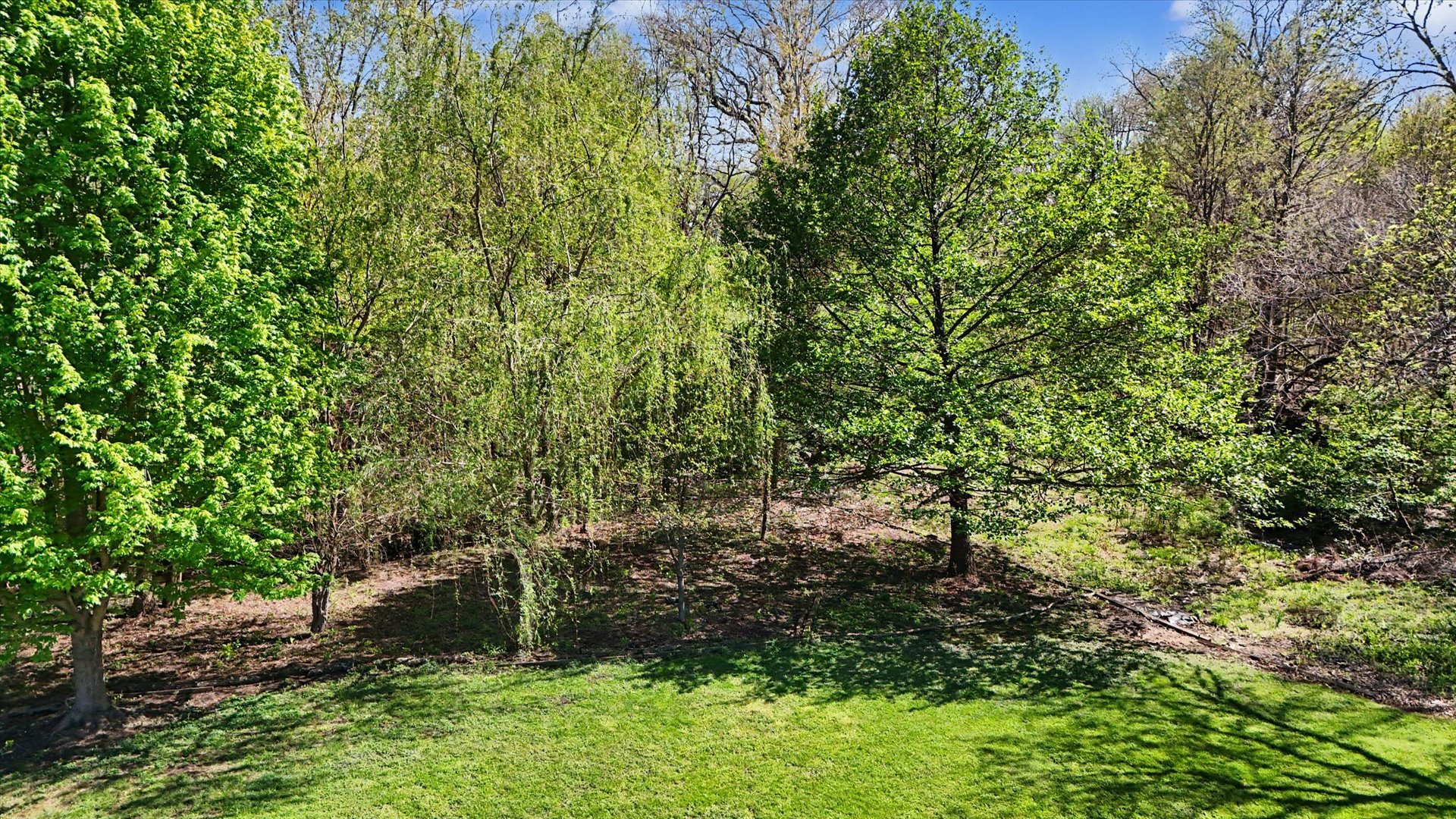 1307 Cross Creek Road Mahomet, IL 61853 - Photo 63 of 75 a view of a yard with plants and large trees