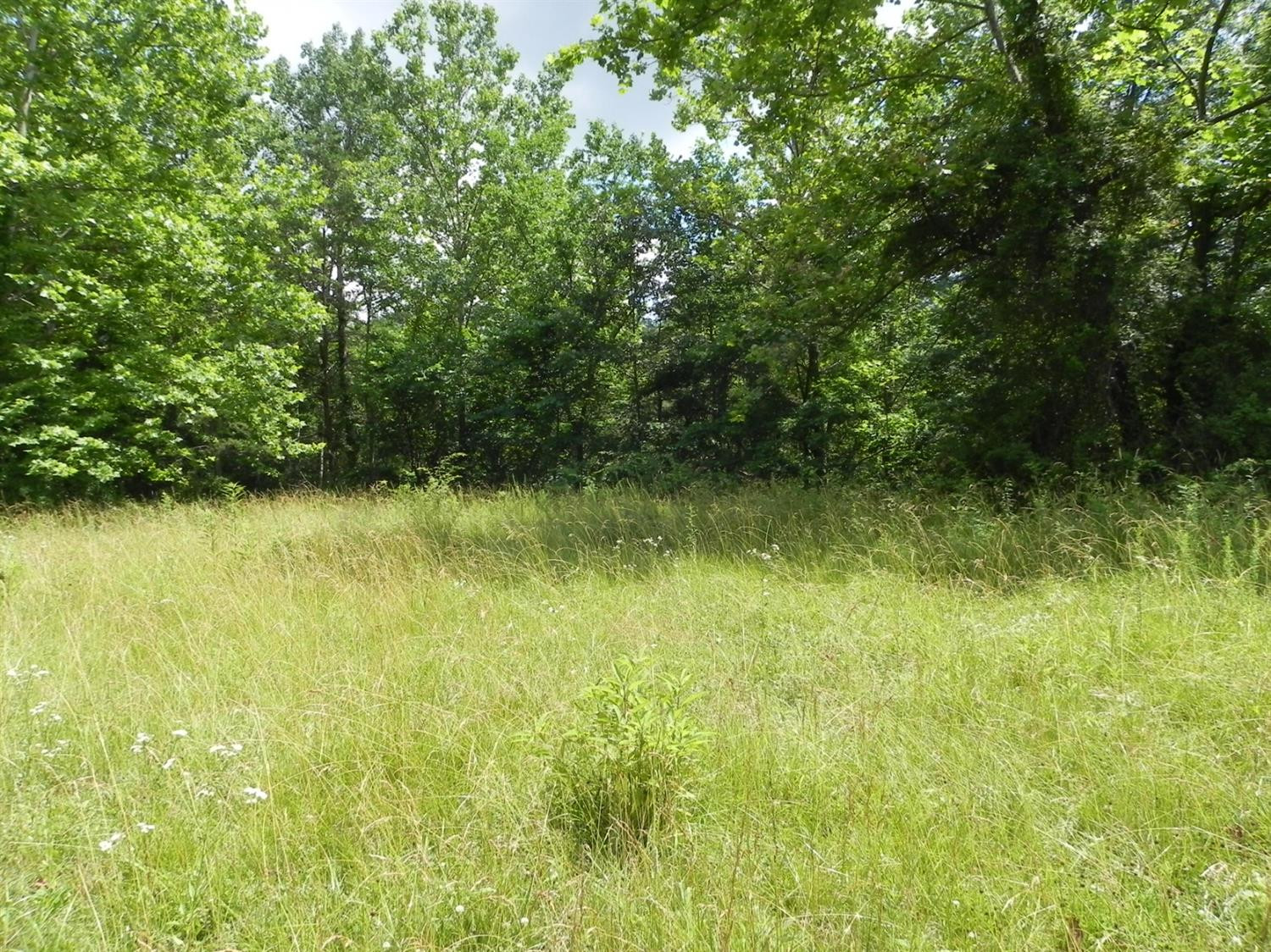 9999 Sasser School Road London, KY 40744 - Photo 17 of 53 Listing Photo
