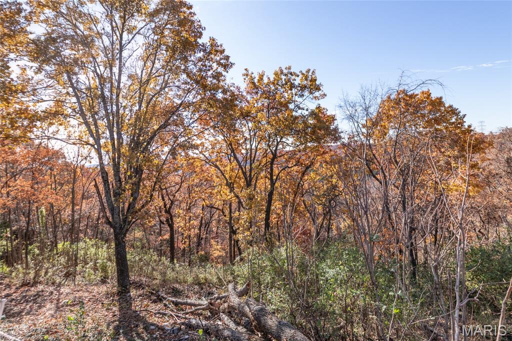 3704 East Four Ridge Road Imperial, MO 63052 - Photo 32 of 40