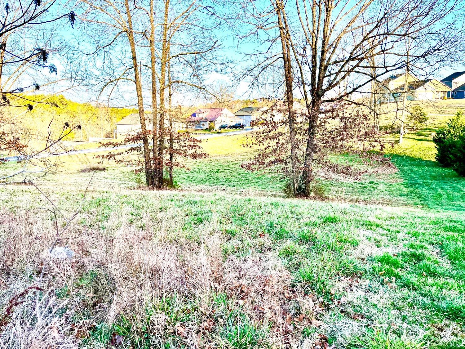 21 Diamond Ridge Lane Moneta, VA 24121 - Photo 3 of 43 Gallery Image 3